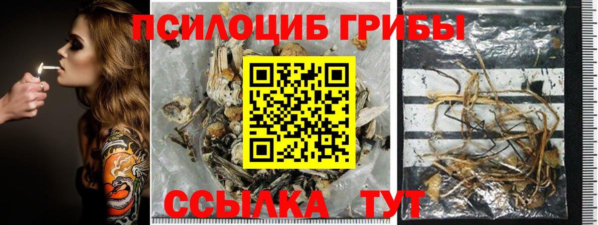 Псилоцибиновые грибы MAGIC MUSHROOMS  Вход с VPN  Псилоцибиновые грибы Psilocybine cubensis  Нижневартовск 
